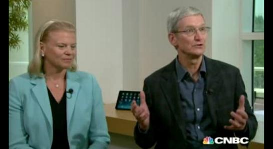 sefii IBM & Apple